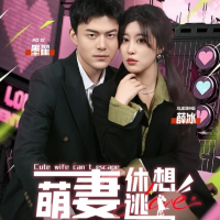 翻墙逃婚,萌妻休想逃封面