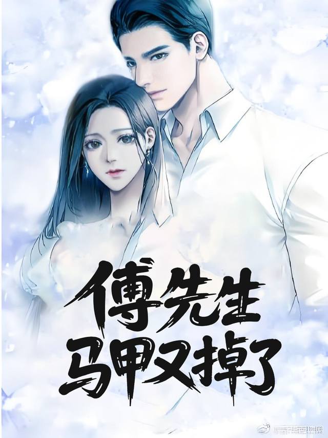 傅先生马甲又掉了封面