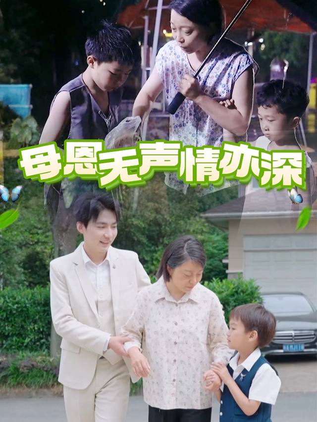 母恩无声情亦深封面