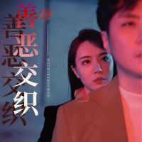 善恶交织封面