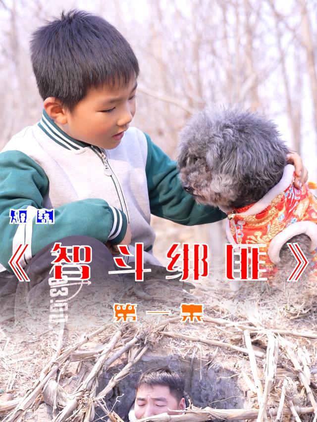 神犬锤锤之智斗绑匪封面