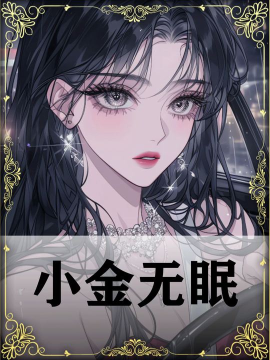小金无眠封面