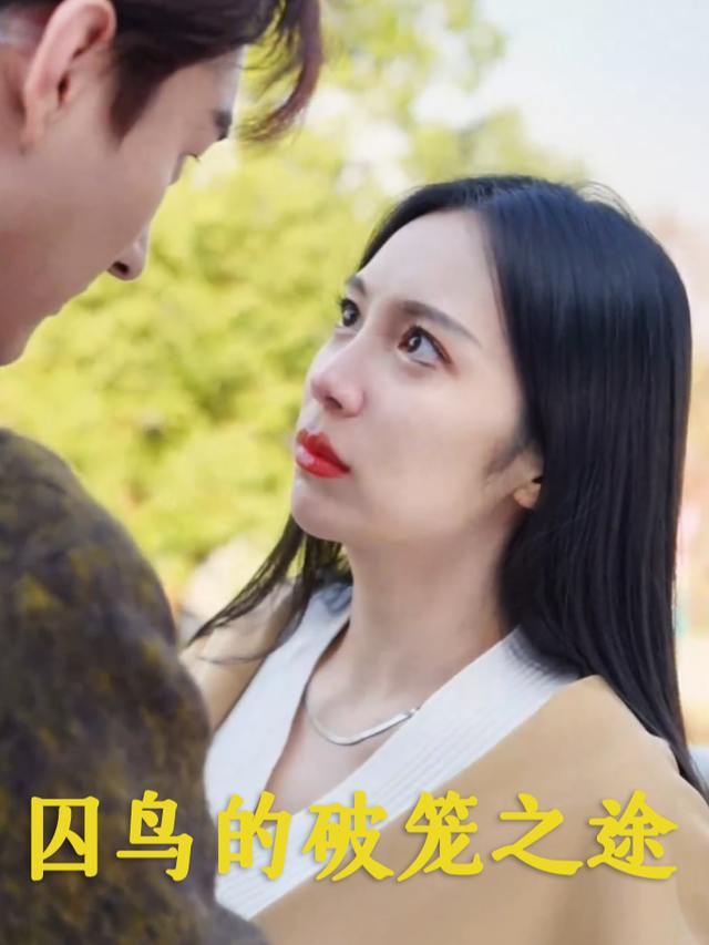 囚鸟的破笼之途封面