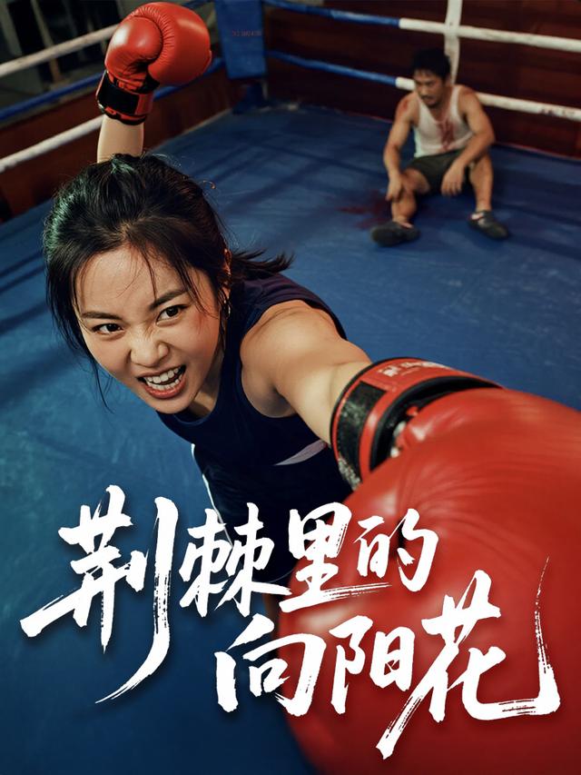 荆棘里的向阳花封面