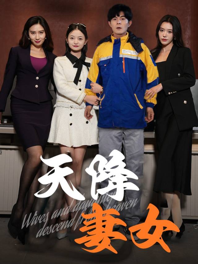 天降妻女封面