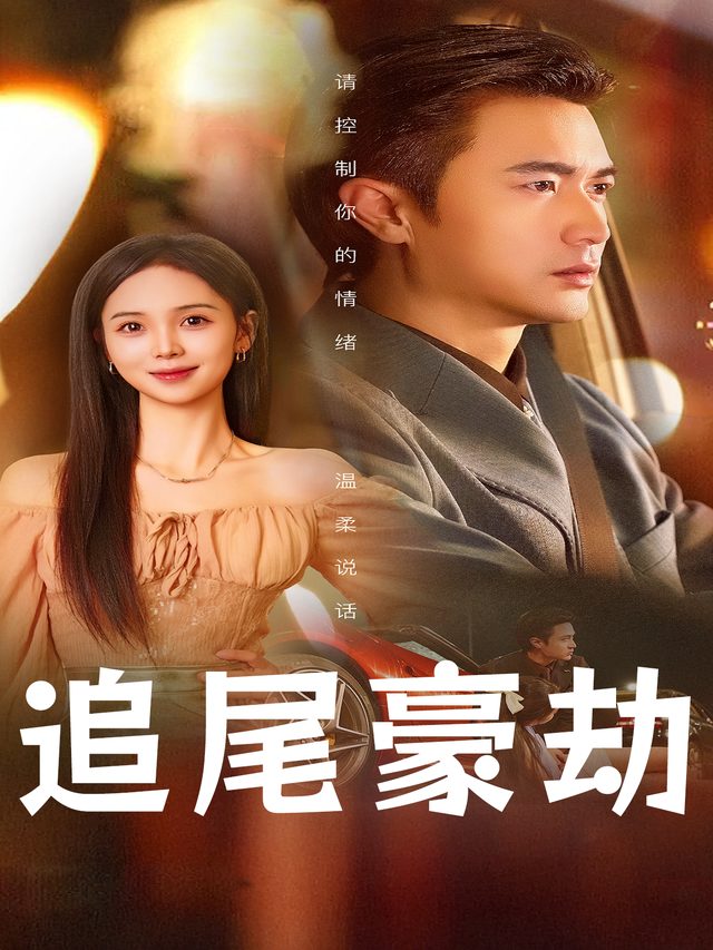 追尾豪劫封面
