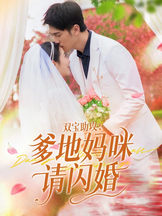 双宝助攻:爹地妈咪请闪婚封面
