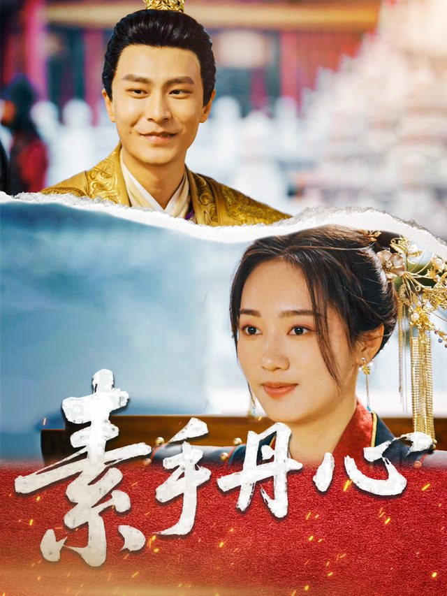 素手丹心封面