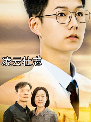 凌云壮志封面