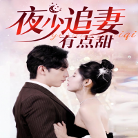 夜少追妻有点甜封面