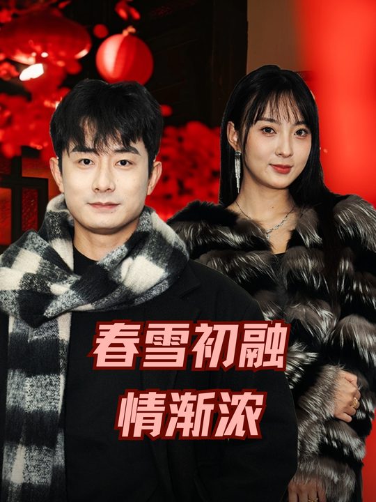春雪初融情渐浓封面