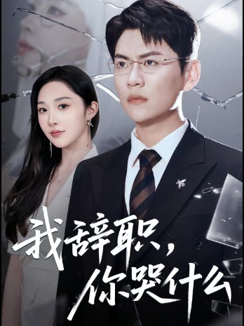 我辞职,你哭什么封面