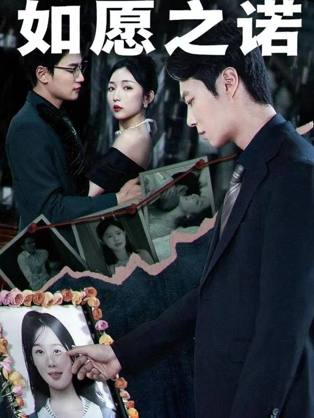 如愿之诺封面