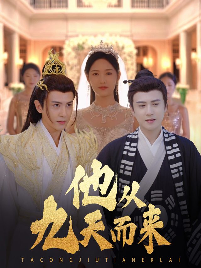 他从九天而来封面