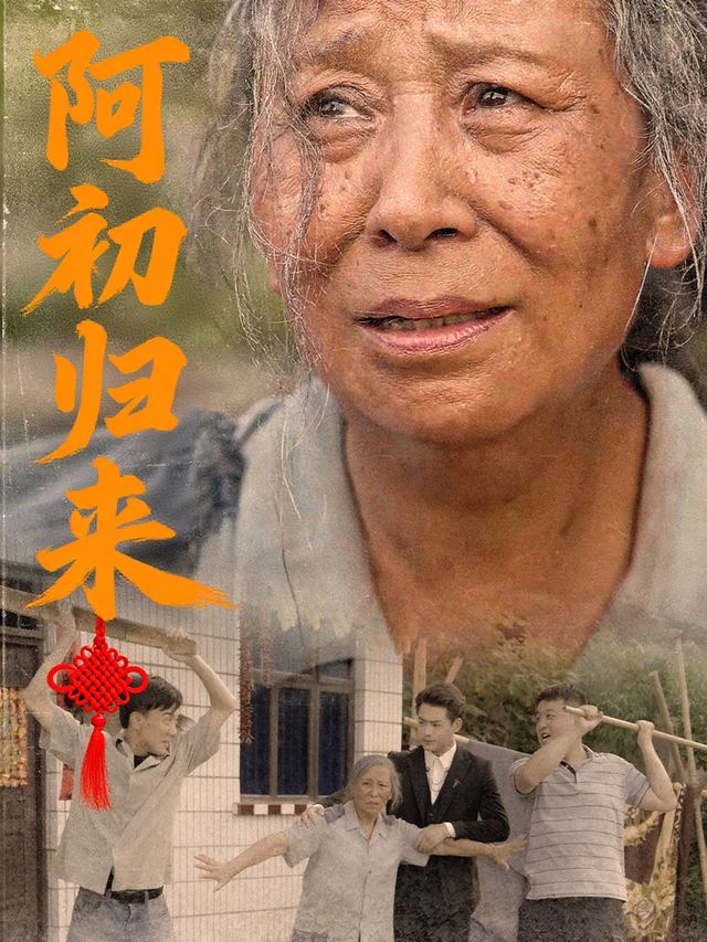 阿初归来封面