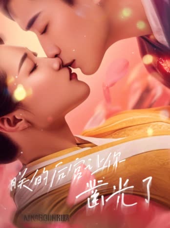朕的后宫让你凿光了封面