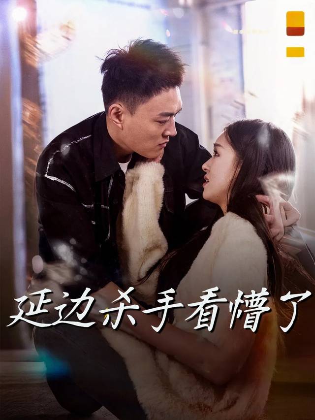 延边杀手看懵了封面