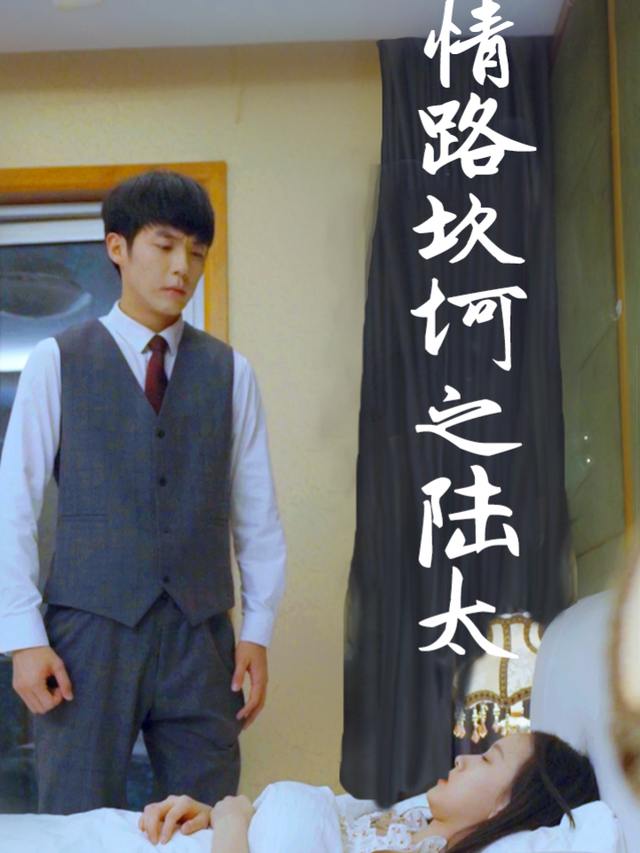 情路坎坷之陆太封面