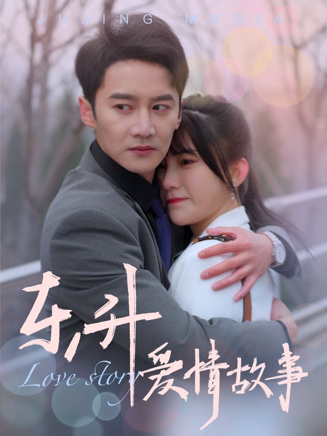东升爱情故事封面