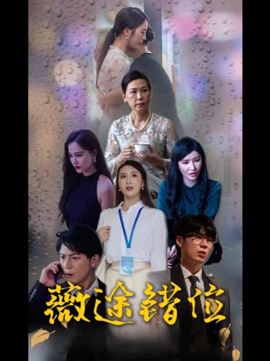 薇途错位封面