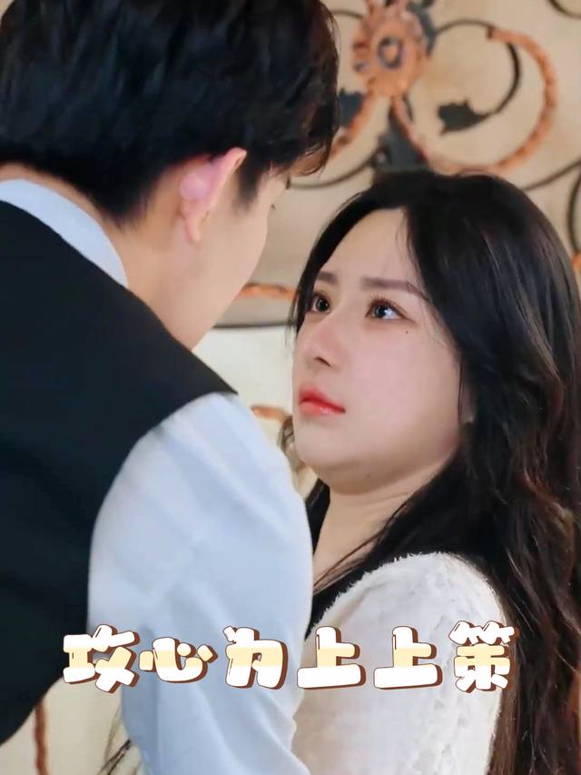 攻心为上上策封面