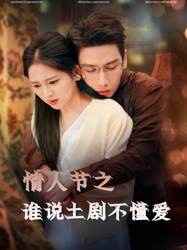 情人节之谁说土剧不懂爱封面