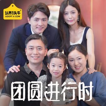 团圆进行时封面