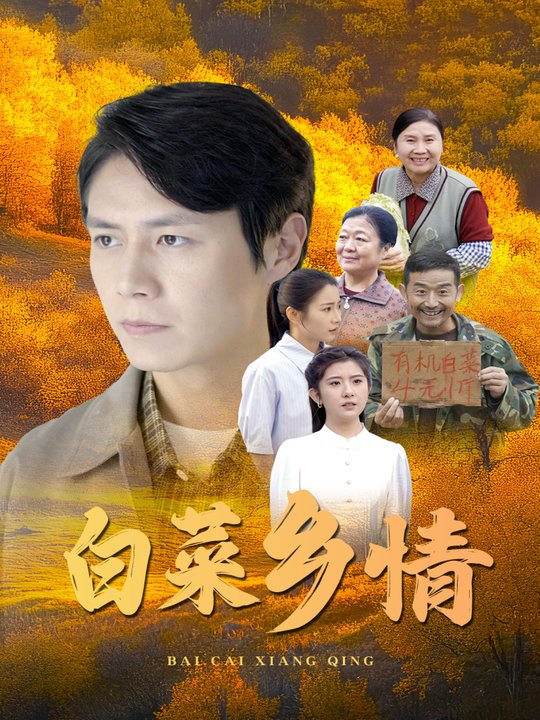 白菜乡情封面