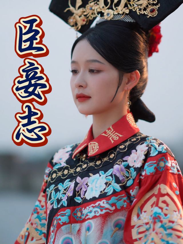 臣妾志封面
