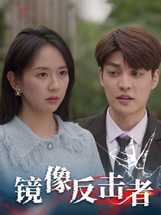 镜像反击者封面