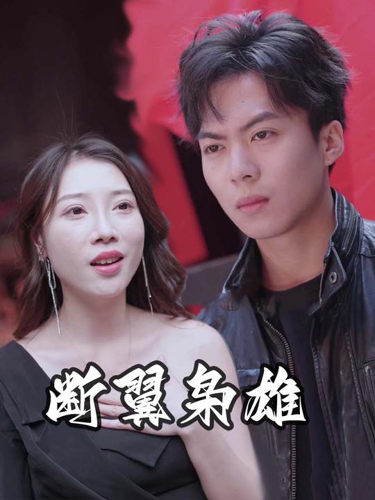 断翼枭雄封面