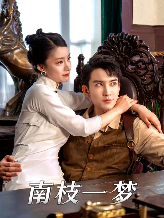 南枝一梦封面