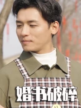 婚书破碎封面