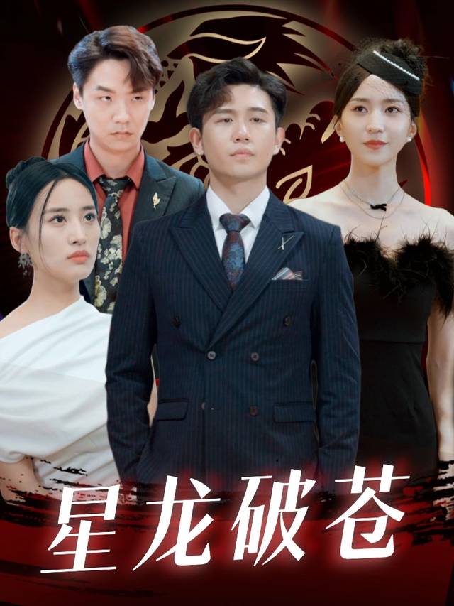 星龙破苍封面