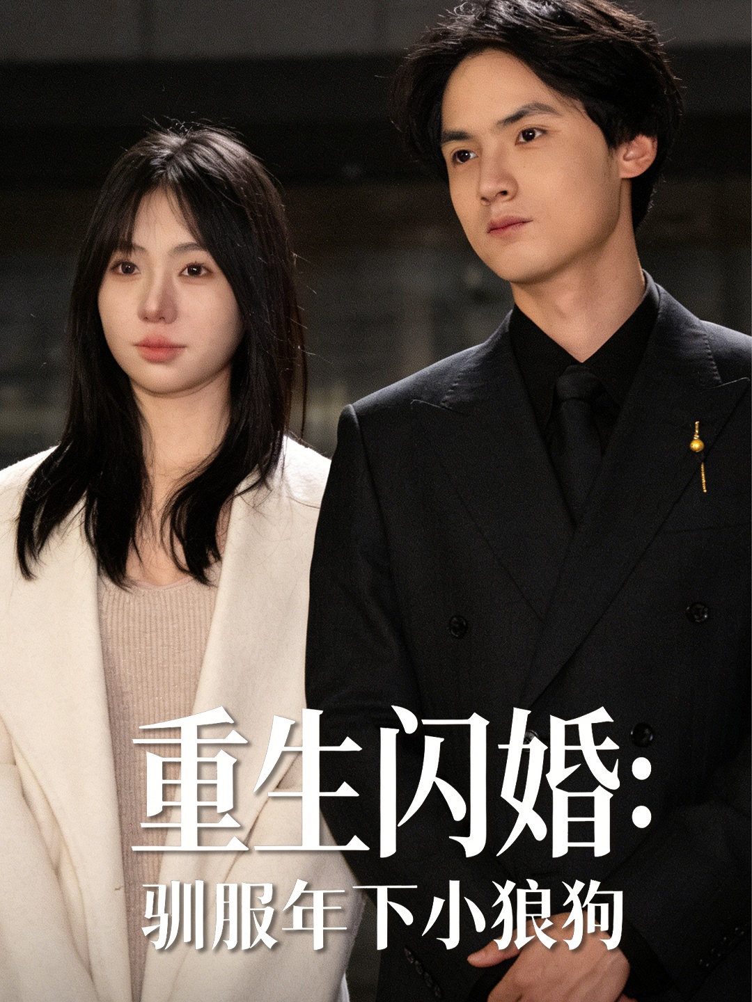 重生闪婚:驯服年下小狼狗封面