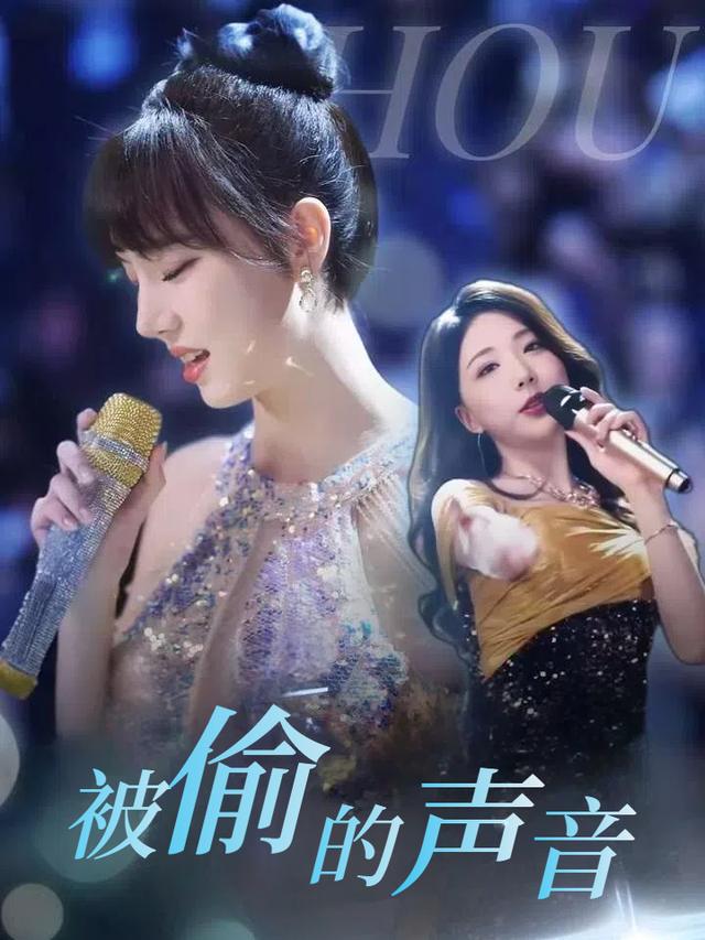 被偷的声音封面