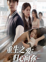 重生之爱:归心向你封面