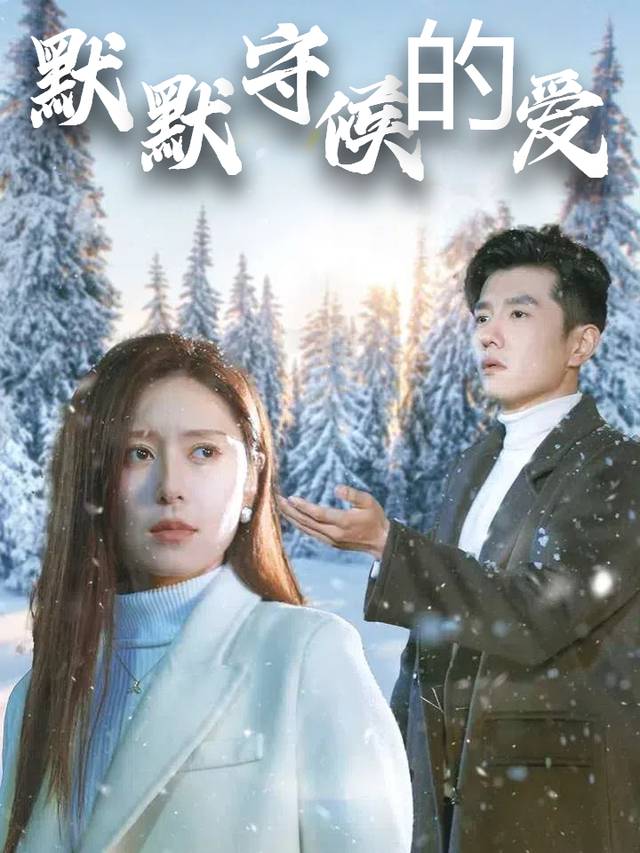 默默守候的爱封面
