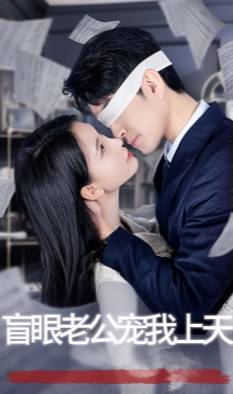 盲眼老公宠我上天封面