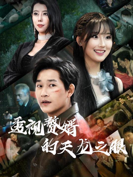 透视赘婿的天龙之眼封面