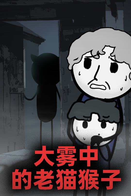 大雾中的老猫猴子封面