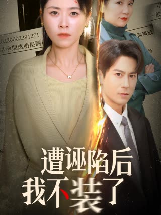 遭诬陷后我不装了封面