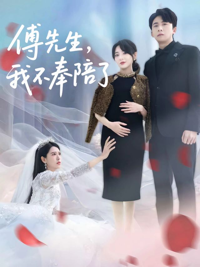 傅先生,我不奉陪了封面