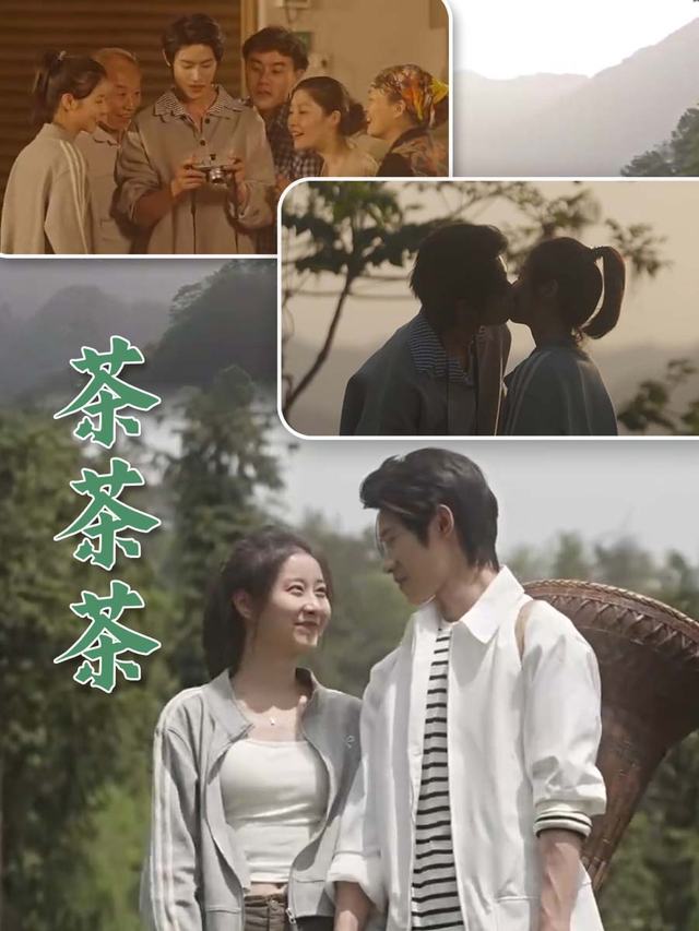 茶茶茶封面