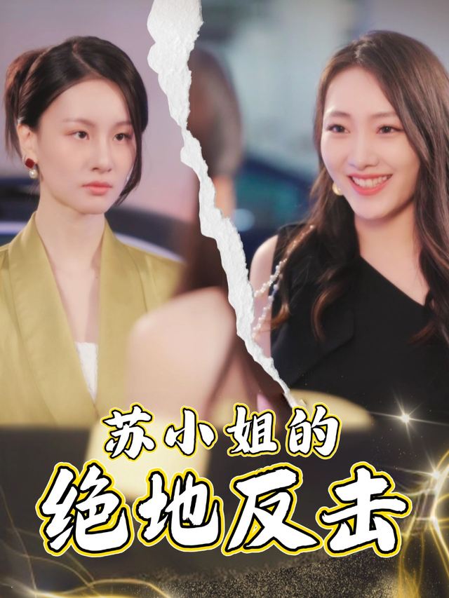 沈小姐的绝地反击封面