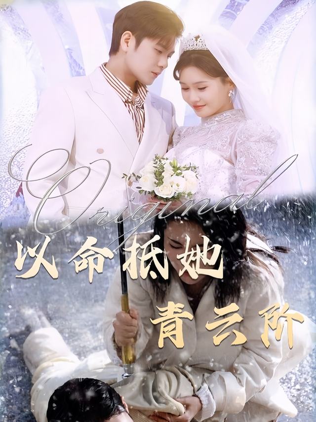 以命抵她青云阶封面
