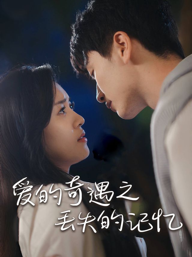 爱的奇遇之丢失的记忆封面