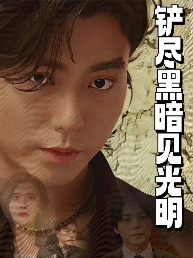 铲尽黑暗见光明封面