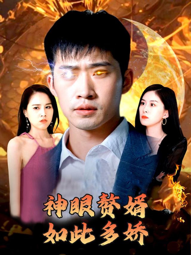 神眼赘婿,如此多娇封面
