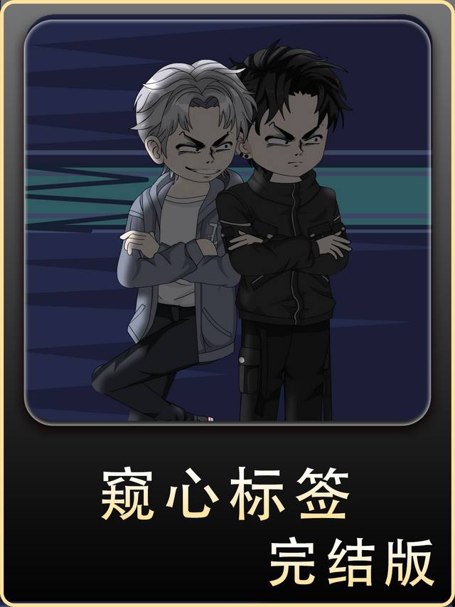 窥心标签封面